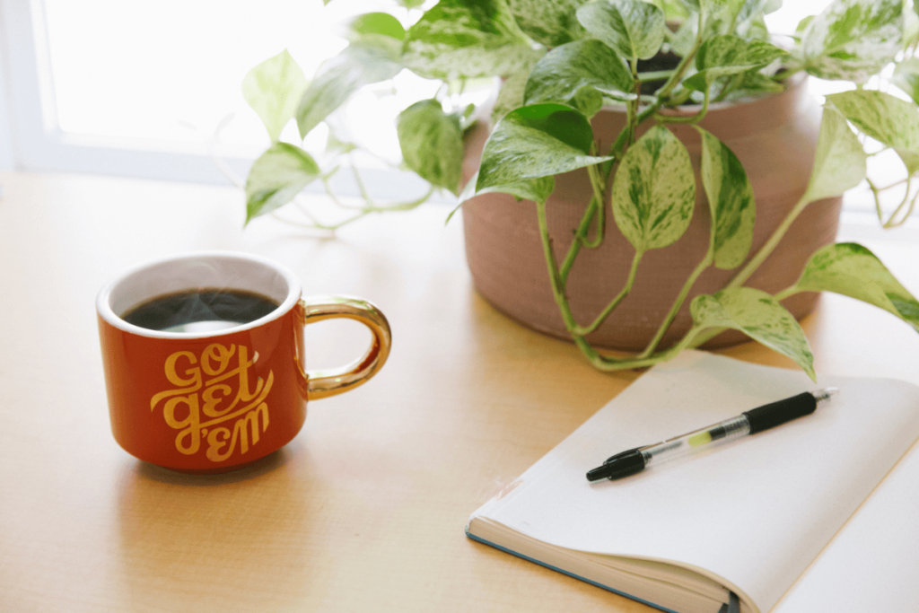 motivational image for starting a side hustle. A photo of a plant and a coffee mug that reads: Go Get 'em